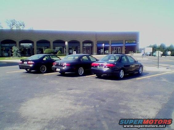 Three 1999 Ford Tauruses parked in a lot, rear view
