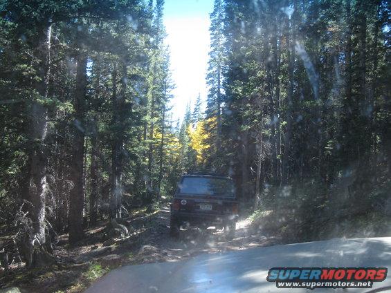 SUV on a dirt road in a forest, trees on both sides, sun shining through