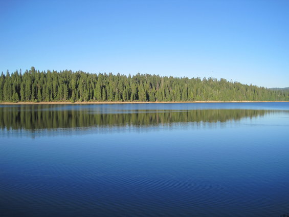 Calm blue lake reflects a dense forest under a clear blue sky