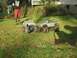 1994 Ford Escort - Two remote-controlled monster trucks are parked on a grassy lawn next to a person.