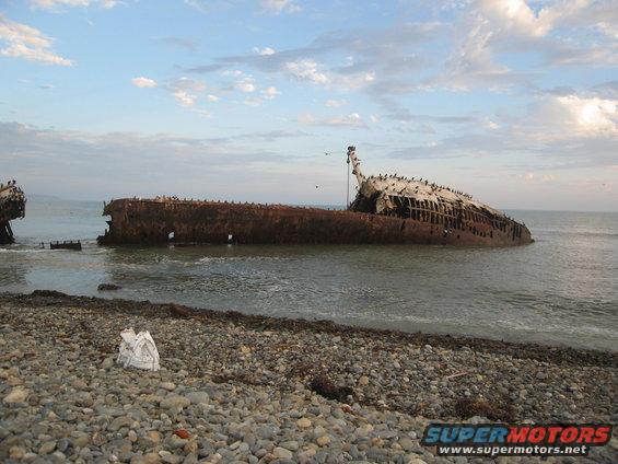 Rusted shipwreck partially submerged on a rocky beach with birds on its structure