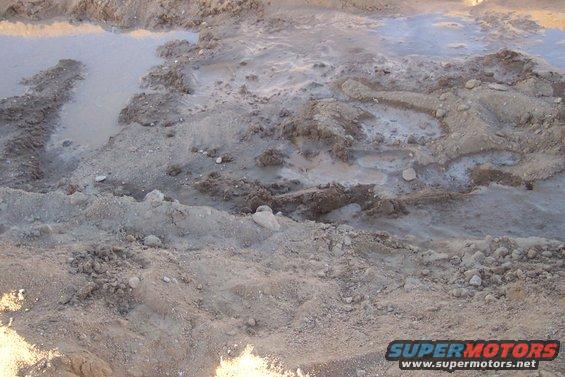 Muddy ground with visible tire tracks and standing water