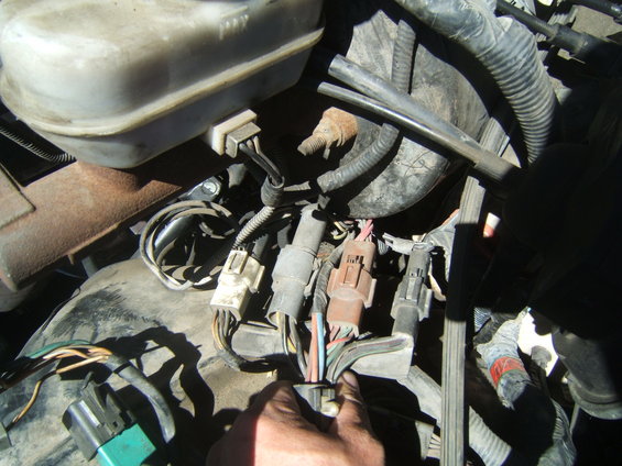 Close-up of engine bay wiring harness with hand disconnecting a connector