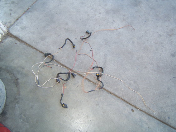 Wiring harness with multiple connectors lying on concrete