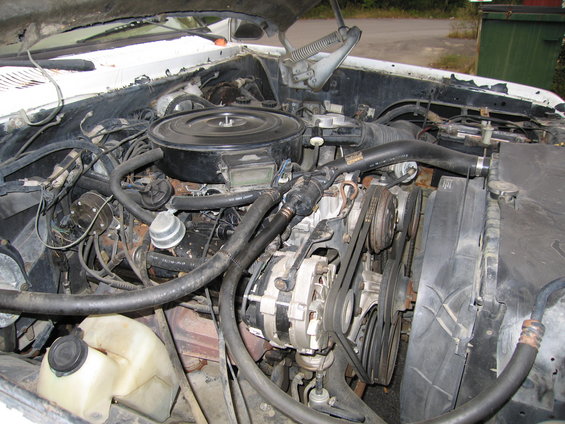 Engine bay with belts, alternator, fan, and hoses visible