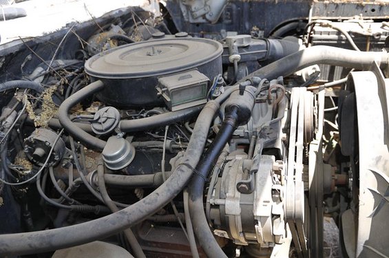Engine bay with V-belts, alternator, air cleaner, and hoses visible