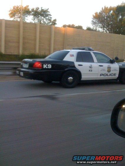 girlfriend took this one,

Minneapolis PD K-9