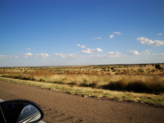 View from a car window looking out at a wide, flat, dry grassland under a blue sky with scattered clouds