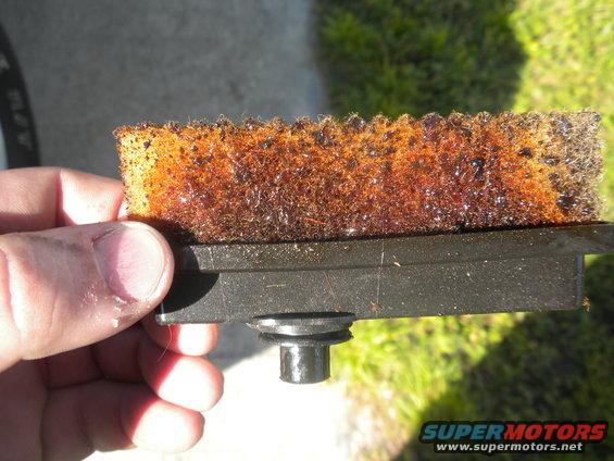 dscn1349.jpg Oily PCV airfilter