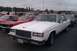 1991 Ford Crown Victoria - A white sedan is parked in a lot with other vehicles visible.