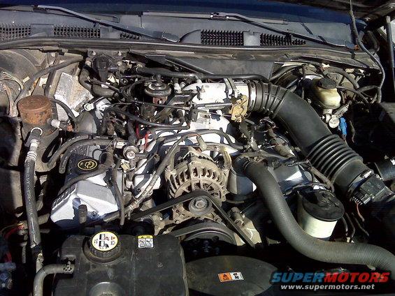 Engine bay with visible Ford logo on valve cover