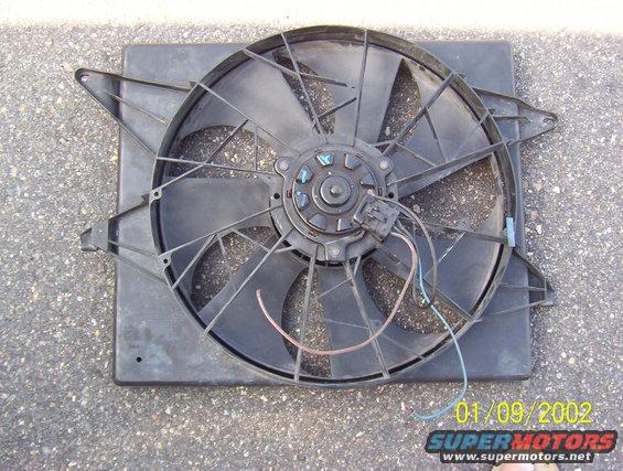 100_1890.jpg e-fan2