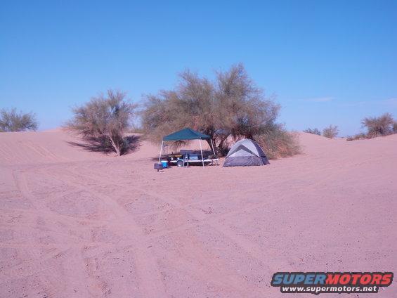 Desert campsite with a tent and a canopy over a table and cooler, surrounded by sand dunes and scrubby trees