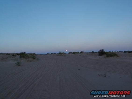 Desert landscape with tire tracks under a clear blue sky with a visible moon