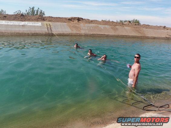 People swimming in a canal with a concrete embankment and a ladder