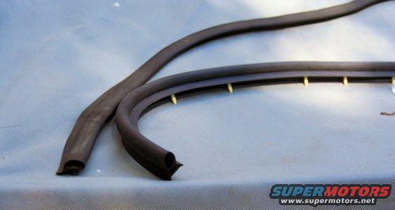 Door seal with clips
