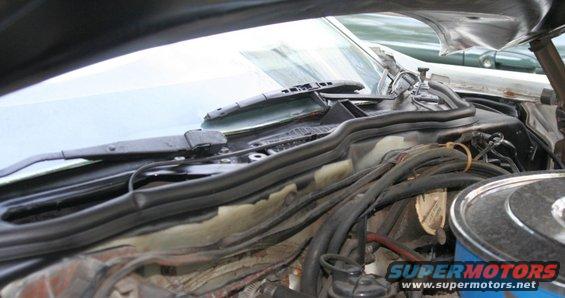 Car engine bay showing windshield wipers, hoses, and air cleaner