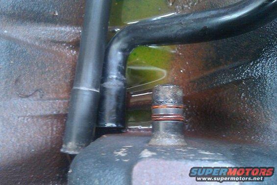 Engine part with green fluid and hoses