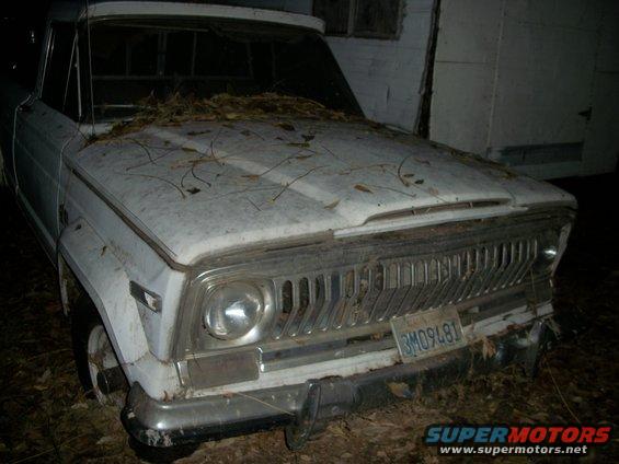Front view of a white 1976 Jeep J-10 pickup truck covered in leaves