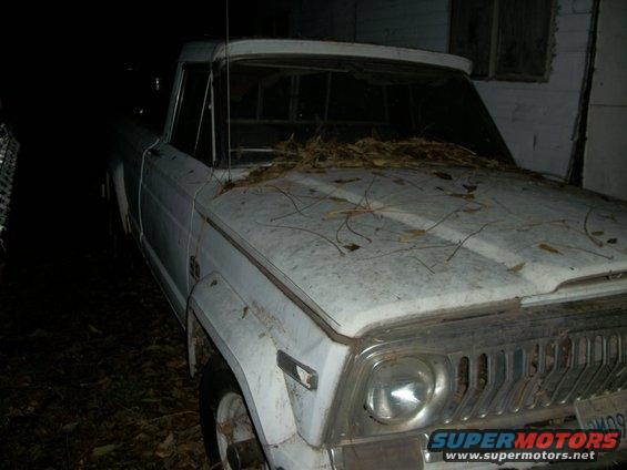 1976 Jeep J-10 pickup truck, white, covered in leaves, parked outdoors
