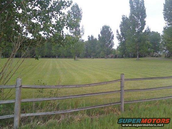 My dream property in Northern Colorado.  There is a 4 bed house behind the tree line in the back.  