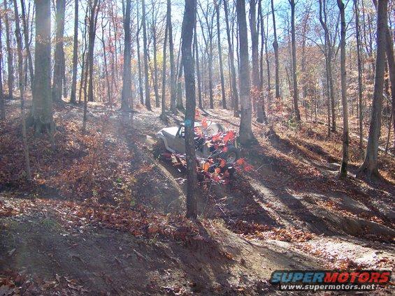 Off-road vehicle on a steep, wooded trail with fallen leaves