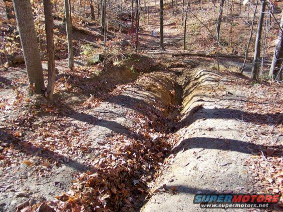 Dirt trail with deep ruts and fallen leaves in a wooded area