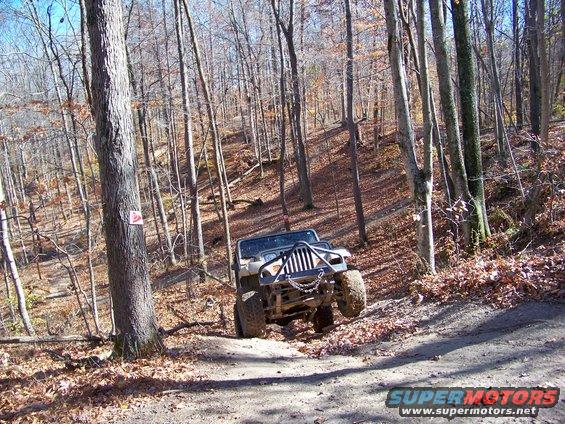 Jeep Wrangler driving on a dirt trail in a wooded area with fallen leaves