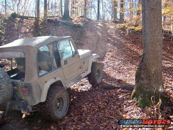 Tan Jeep Wrangler on a dirt trail in a wooded area
