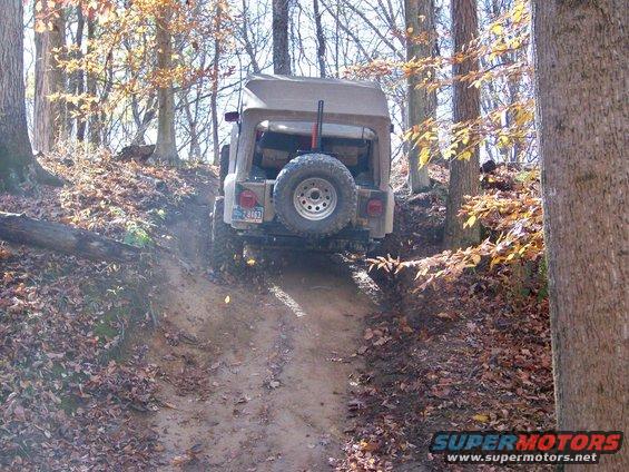 Tan Jeep Wrangler with a spare tire on the back drives up a dirt trail in a wooded area