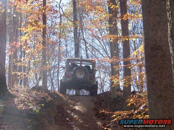 Rear view of a Jeep Wrangler climbing a dirt trail in autumn woods