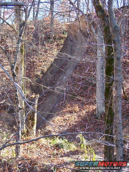 dirt path going down a wooded hill, bare trees, fallen leaves on ground
