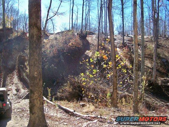 Jeep Wrangler on dirt path in wooded area