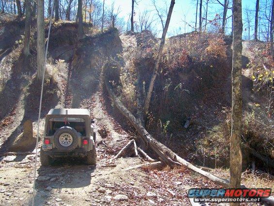 Jeep Wrangler on a steep, wooded dirt trail with fallen trees