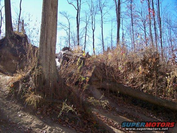 Dirt path on wooded hillside with fallen tree and rocks