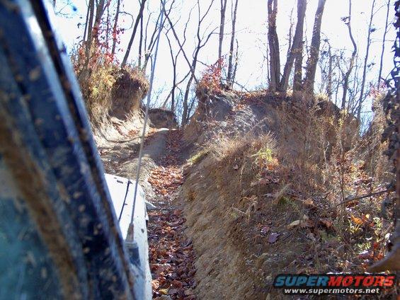 View from inside a vehicle on a narrow, leaf-strewn off-road trail