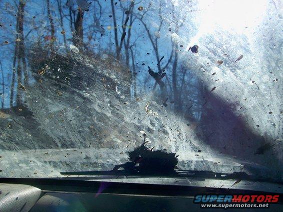 View through a very dirty windshield with mud and debris, showing trees and sky outside