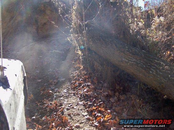 Truck driving off-road near fallen tree