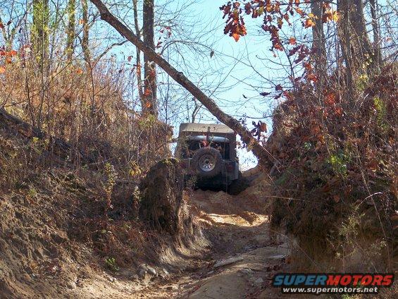 Jeep Wrangler driving up a steep, narrow dirt trail with trees on either side