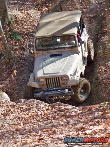 Tan Jeep Wrangler driving down a steep, wooded trail covered in leaves