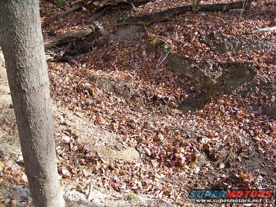 Off-road scene with tire tracks in fallen leaves