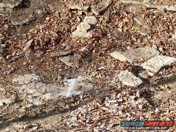 muddy ground with fallen leaves and rocks, water puddle, and a watermark 'SUPER MOTORS www.supermotors.net'