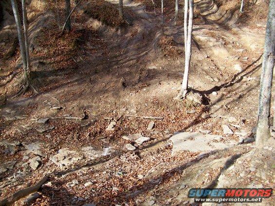 Dirt trail with fallen leaves and trees on a sunny day