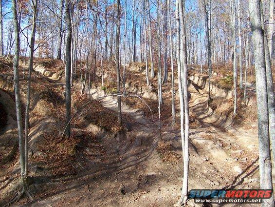 Dirt trail winding through a forest with bare trees and fallen leaves