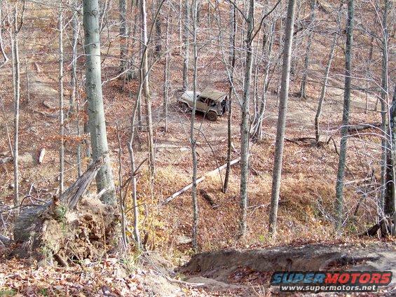 Off-road vehicle on a wooded trail