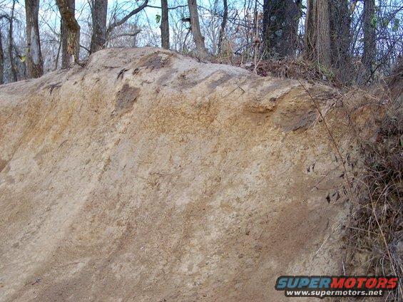 Dirt mound and trees in a wooded area