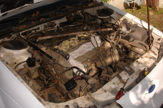 dsc06884.jpg 