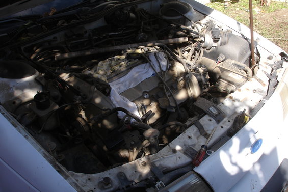 Engine bay of a white 1990 Ford Taurus with the hood open, showing the engine and various components