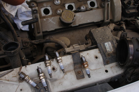 dsc06896.jpg