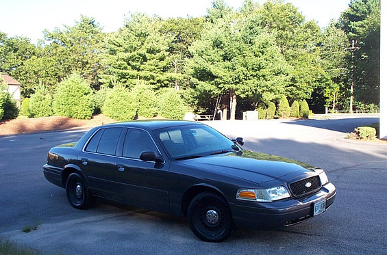 dcp_2902.jpg 